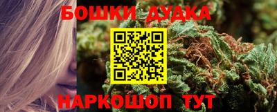 шишки Дубна