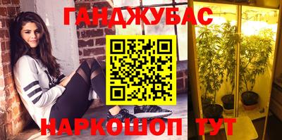 шишки Дубна